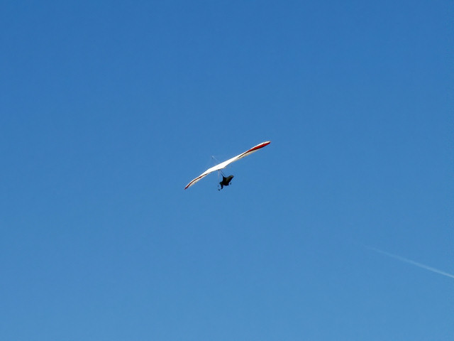 Working some weak Thermals