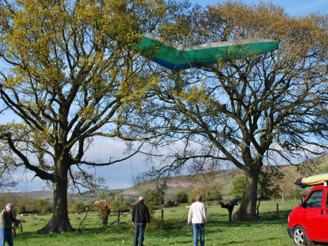 Tree Landing