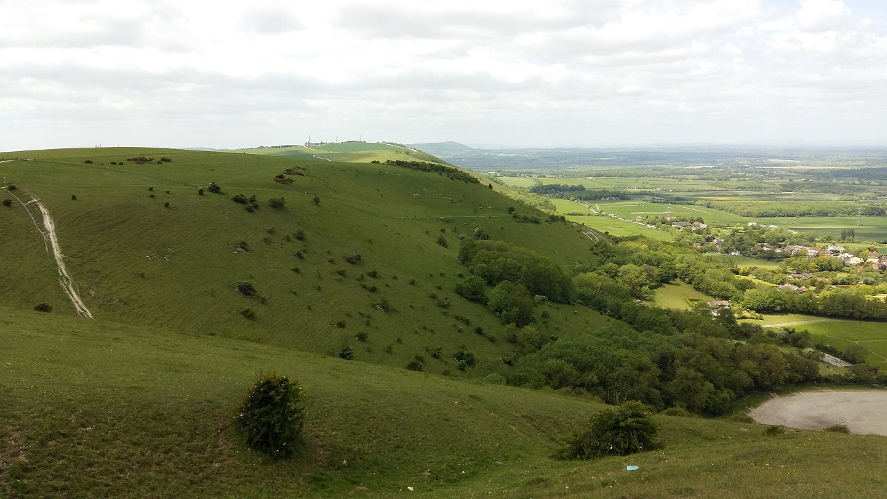 The Main Bowl