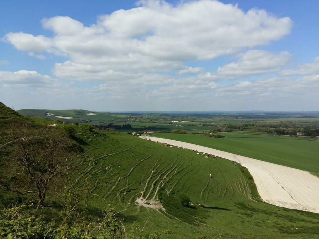 Bottom Landing at Firle