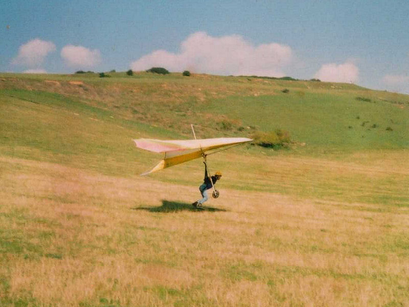 Skimming Flight