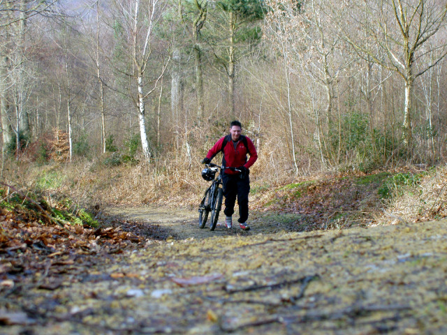 The Climb to Leith Hill