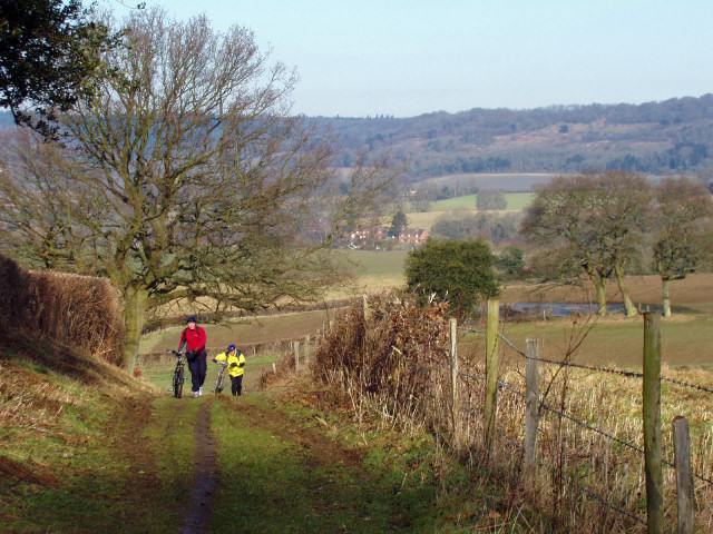 Up Towards Holmbury Hill