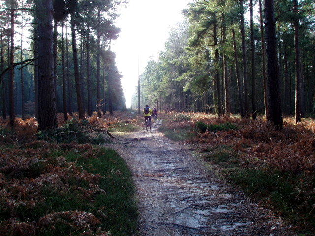 Holmbury Hill Ascent