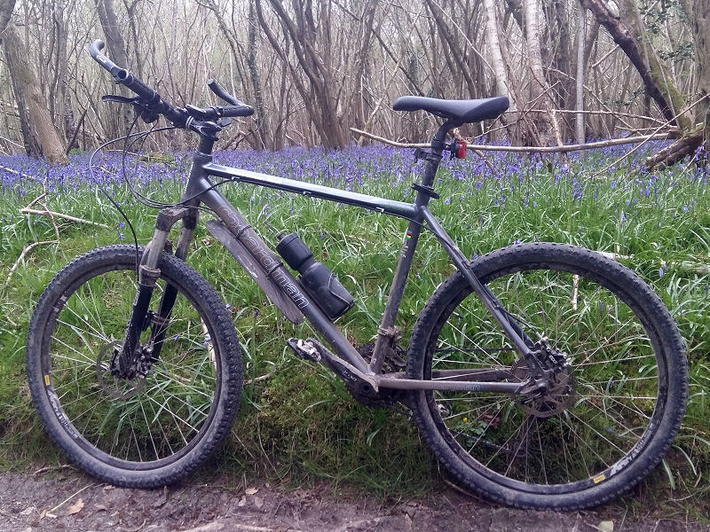 Mountain Bike in the Bluebells