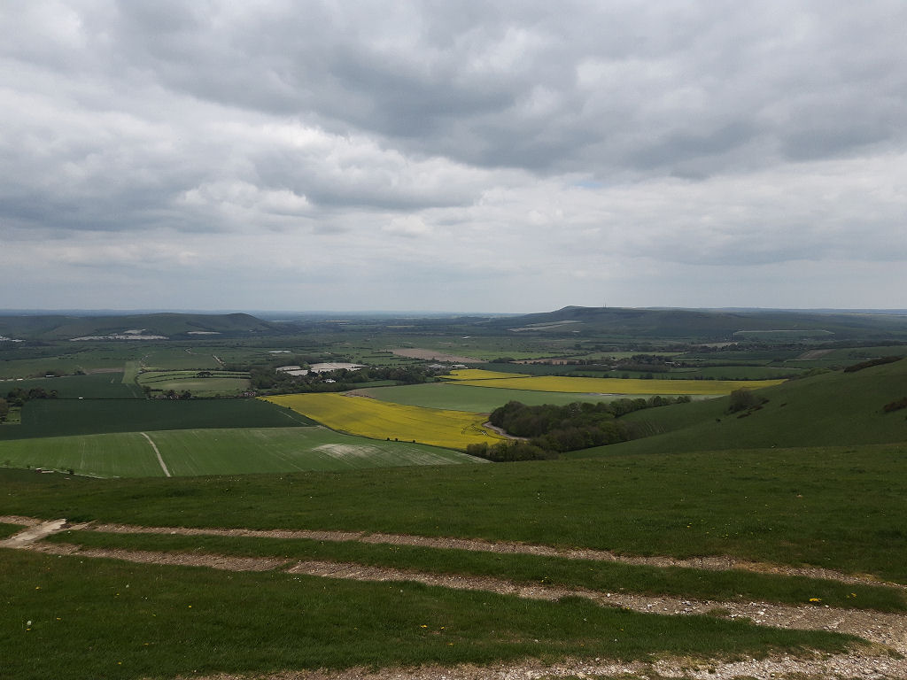 View From Swanborough